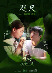 经典神作《金瓶梅2008.高清修复版.内附中文字幕》 3.41G